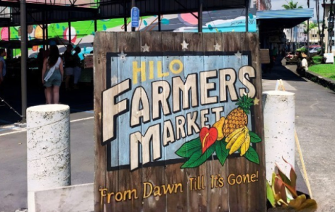 Sign for Hilo Farmers Market with fruit illustrations, under a covered market area.