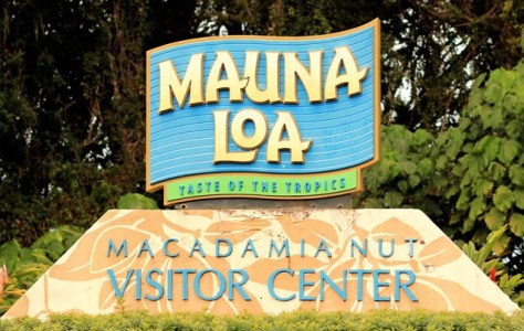 Mauna Loa Macadamia Nut Visitor Center sign with tropical foliage.