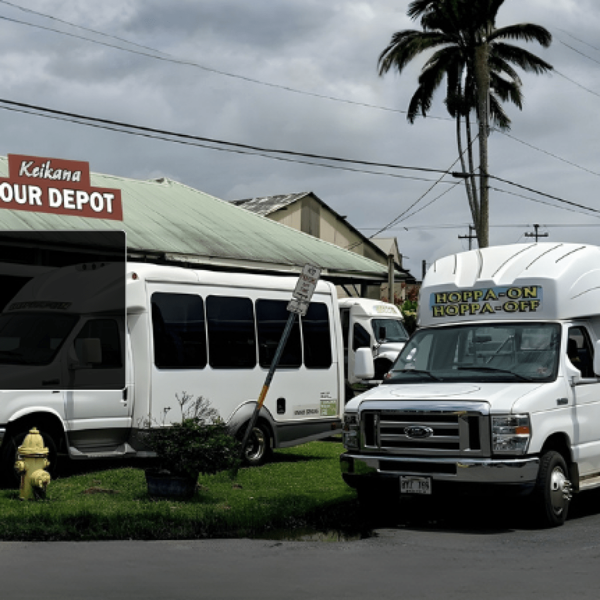 Tour vans parked near a tour depot under cloudy skies with palm trees.