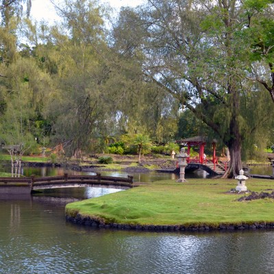 Tranquil park scene with bridge over pond and lush greenery.