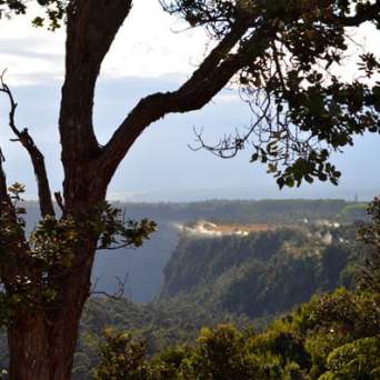 Tree silhouette against a scenic valley and distant mountains.