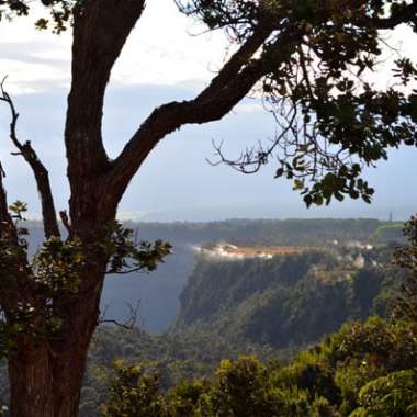 Tree silhouette against a scenic valley and distant mountains.