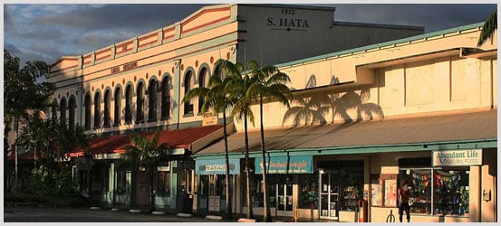 Historic building with palm trees and shopfronts in early evening light.