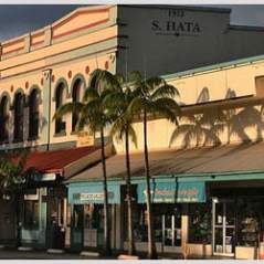 Historic building with palm trees and shopfronts in early evening light.