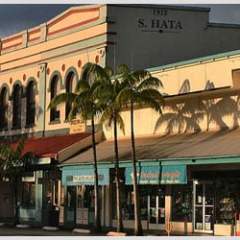 Historic building with palm trees and shopfronts in early evening light.