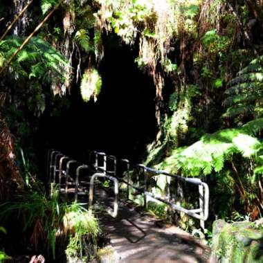 Entrance to a dark tunnel surrounded by lush green foliage and metal railings.