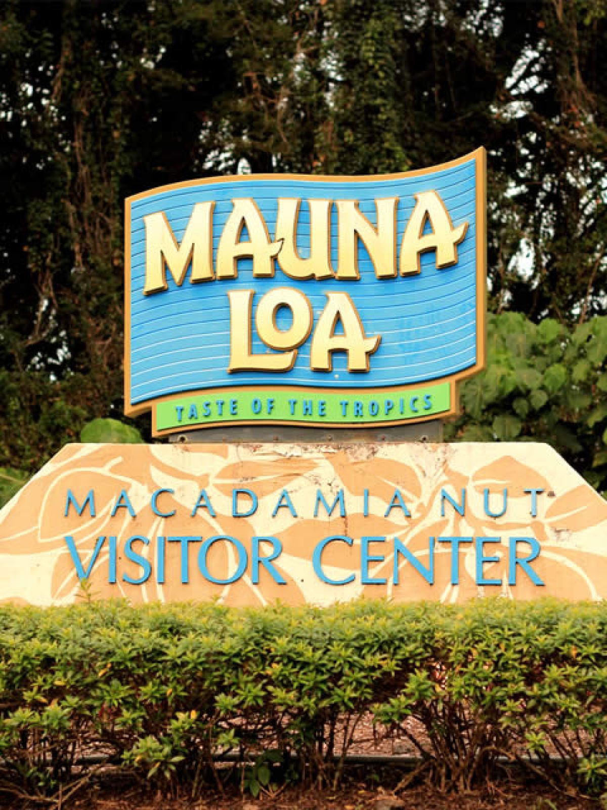 Mauna Loa visitor center sign amid lush greenery.