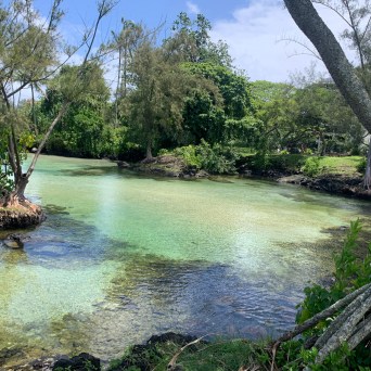 Tropical lagoon with clear water, surrounded by trees and greenery, under a blue sky.