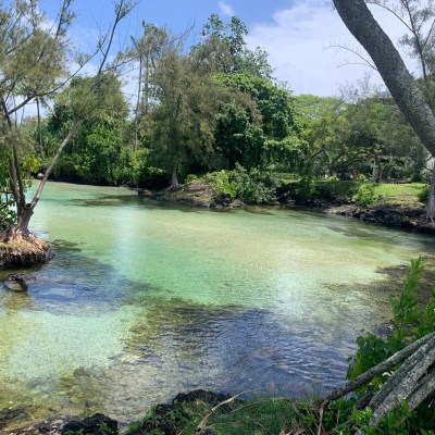 Tropical lagoon with clear water, surrounded by trees and greenery, under a blue sky.