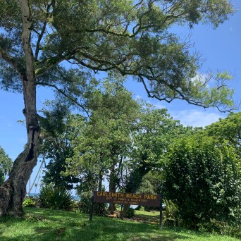 Carl Smith Beach Park sign under large trees and blue sky.