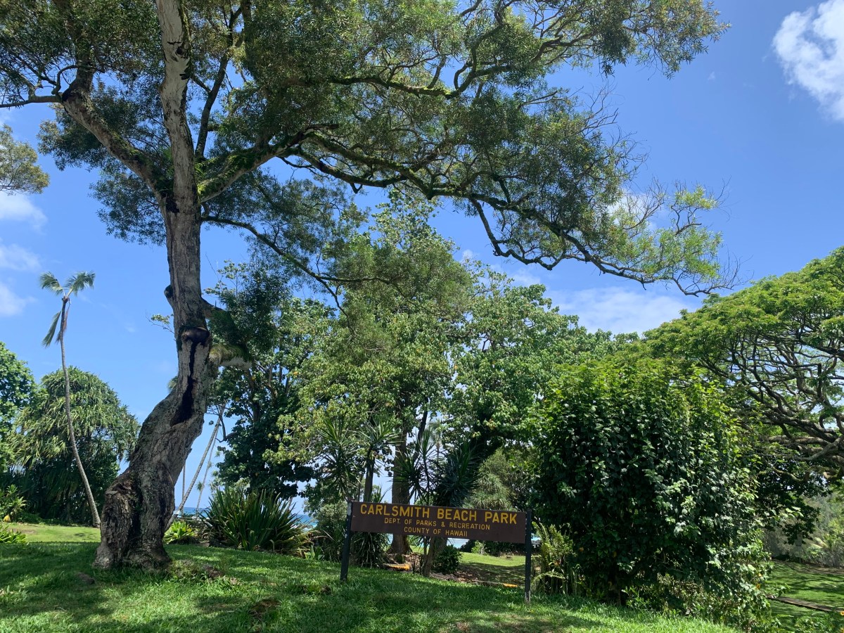 Carl Smith Beach Park sign under large trees and blue sky.