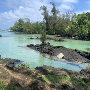 Serene lagoon with rocky shore and lush greenery under a blue sky.