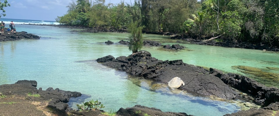Serene lagoon with rocky shore and lush greenery under a blue sky.
