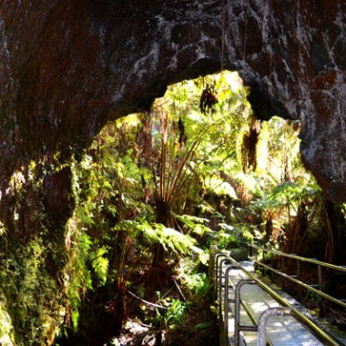 Pathway through a forested lava tube with sunlight filtering through.
